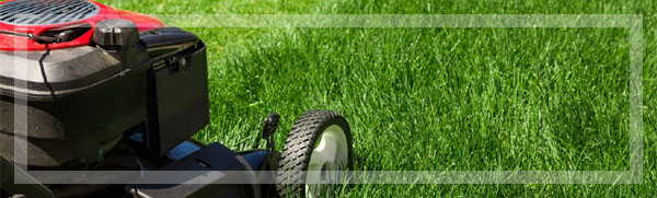 Lawn Care and Maintenance